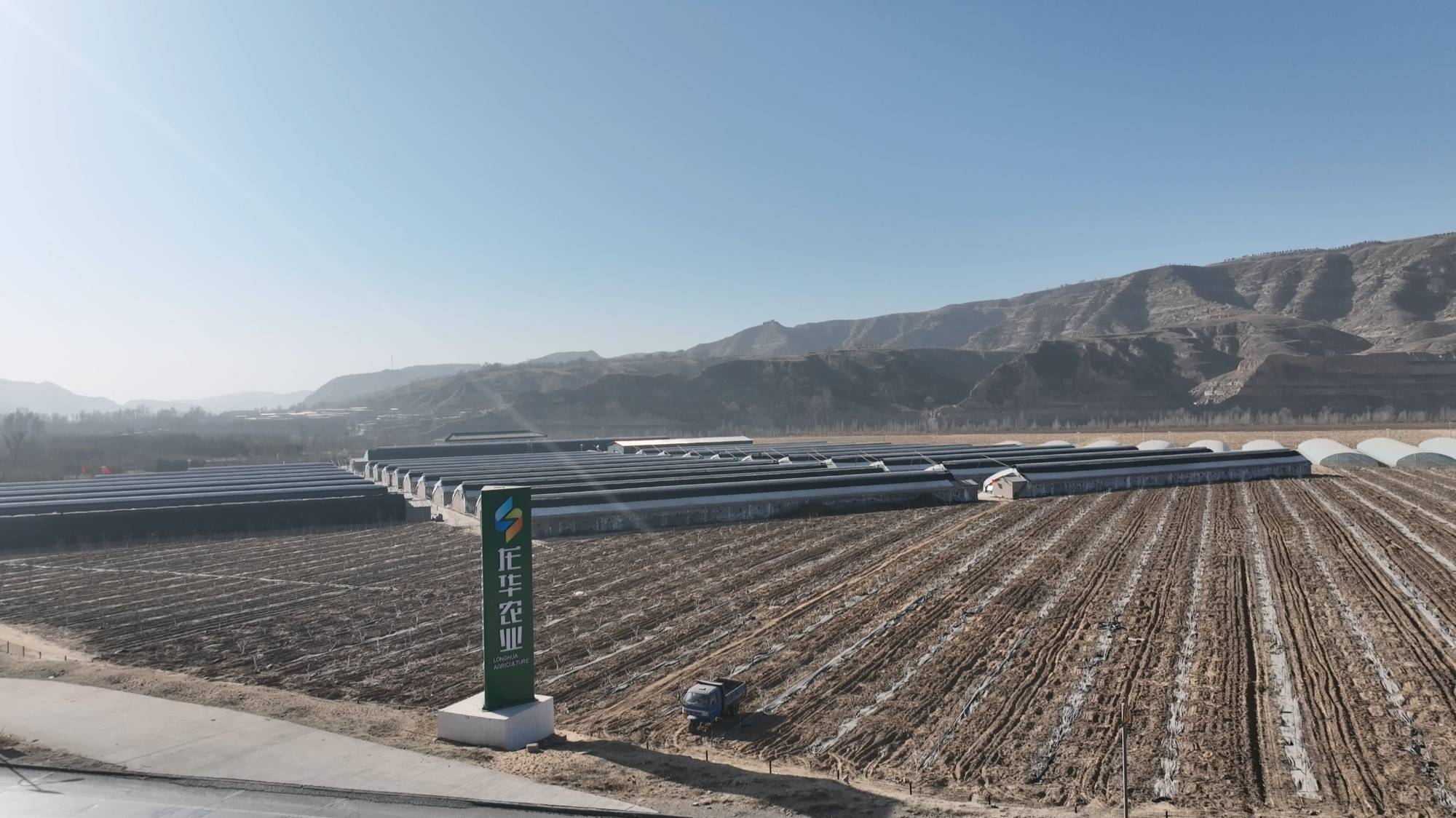陕西神木市种地补贴政策_陕西神木种植致富_神木药材种植基地