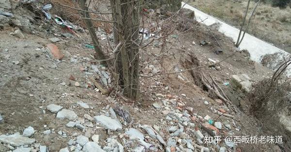 养殖蛋鸡_养殖蛋鸡挣钱吗_蛋鸡养殖技术要学几年