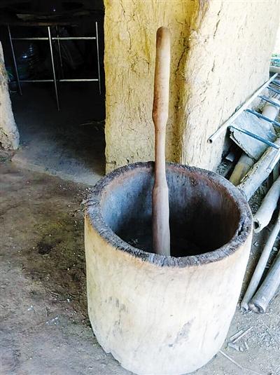 丝瓜种植时间及技术要点视频_种植丝瓜的视频_丝瓜苗种植技术视频