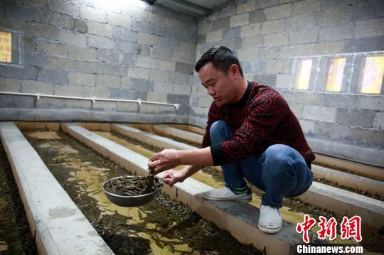 cctv7水蛭养殖视频_致富经养水蛭视频_cctv7 致富经养水蛭