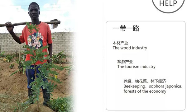一带一路，林业扶贫