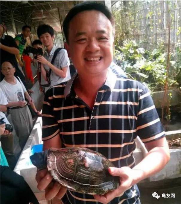 乌龟养殖致富方法_乌龟致富养殖方法视频_乌龟养殖致富经