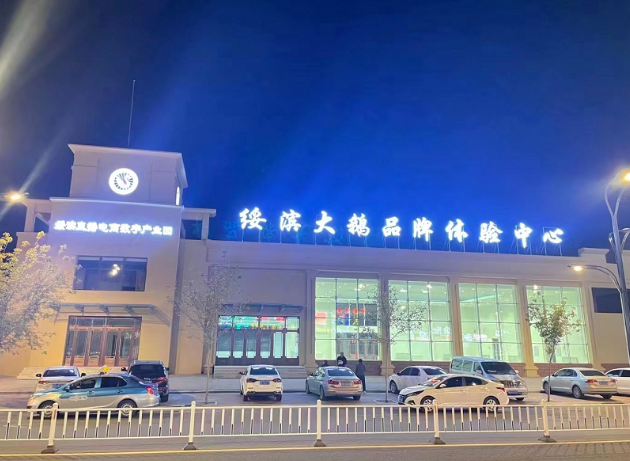 养殖鹅致富经_鹅养殖户_致富经养殖大型鹅
