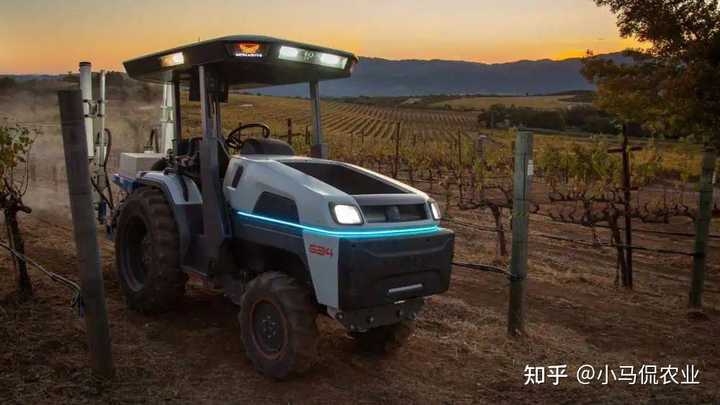 农田种植致富_致富农田种植补贴政策_农民致富种植项目