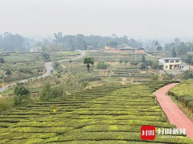 亩产10万元致富经_亩产20万元_亩产30万元项目