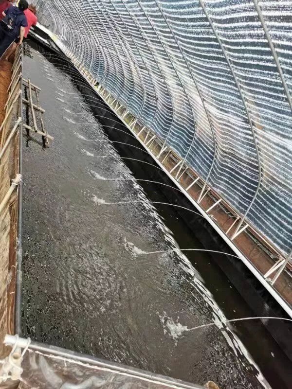 水至养殖场_水至养殖_水志养殖技术