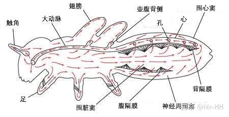 优秀回答_优质回答的100个经验_优质回答经验100字左右