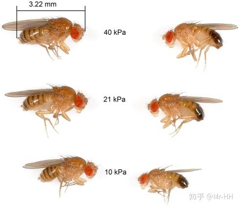 优秀回答_优质回答经验100字左右_优质回答的100个经验