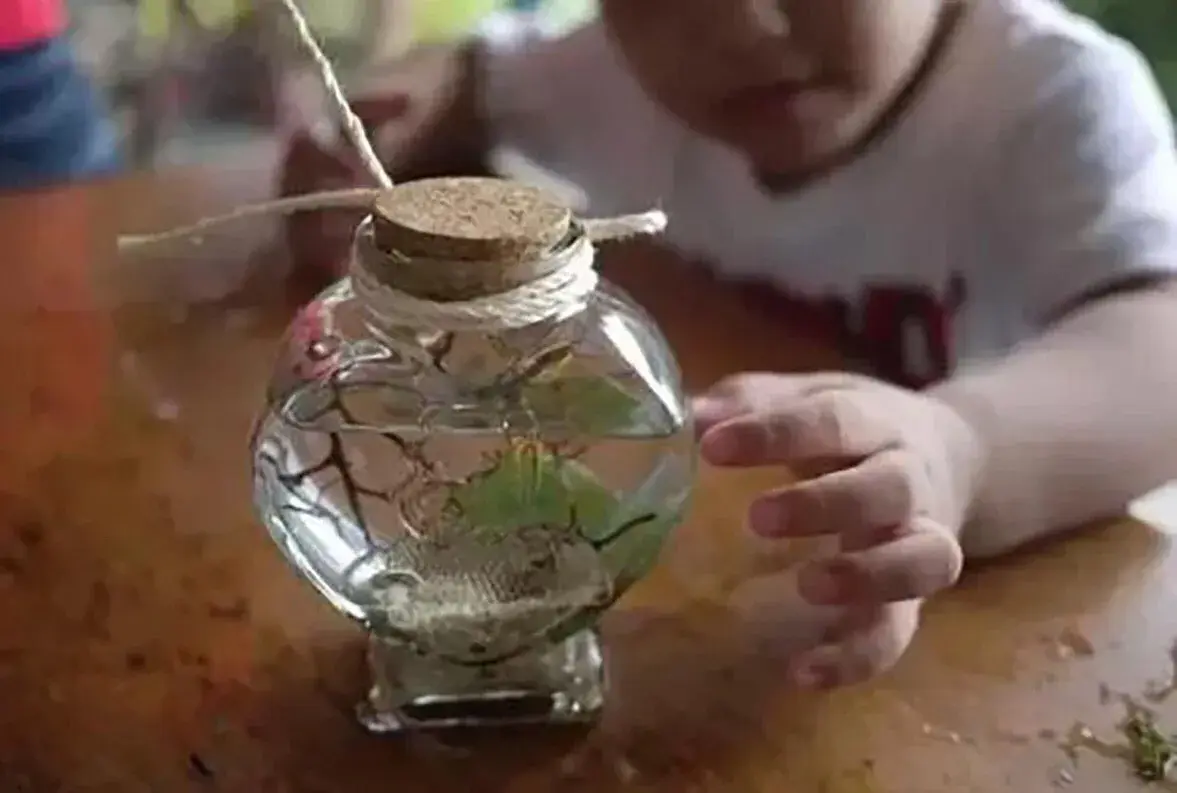 卖水草致富经_卖水草的小店叫什么_种植水草利润大吗
