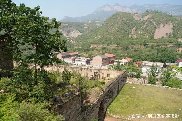 致富银杏种植条件_银杏种植致富_致富银杏种植方法