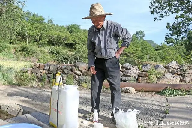 致富银杏种植方法_银杏种植致富_致富银杏种植条件