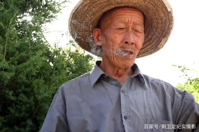 致富银杏种植方法_银杏种植致富_致富银杏种植条件