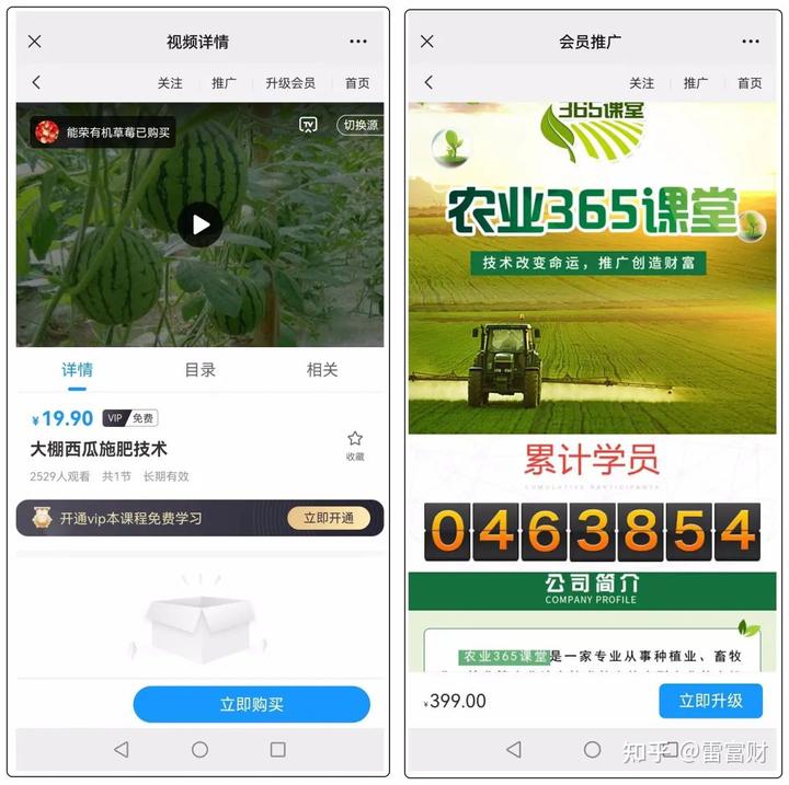 桃子种植致富项目_桃源致富经_致富经扁桃种植