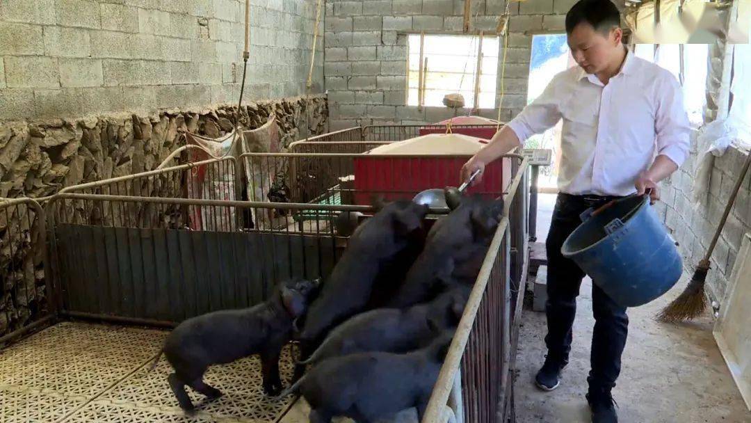 养殖致富不忘_致富养殖好项目大全_致富养殖什么最赚钱