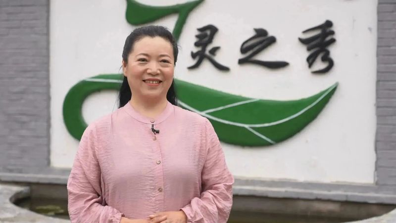 种植茶花的前景怎样_致富经茶花种植_致富种植茶花图片