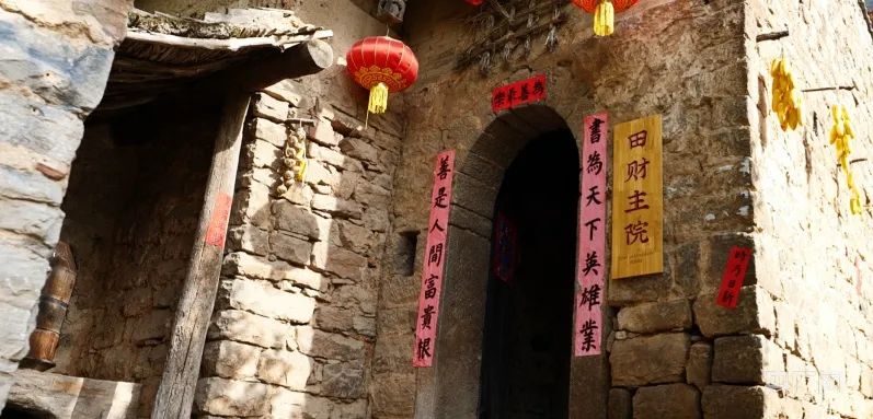 养殖马鸡能养殖致富_农民养马致富_养殖马的利润与成本