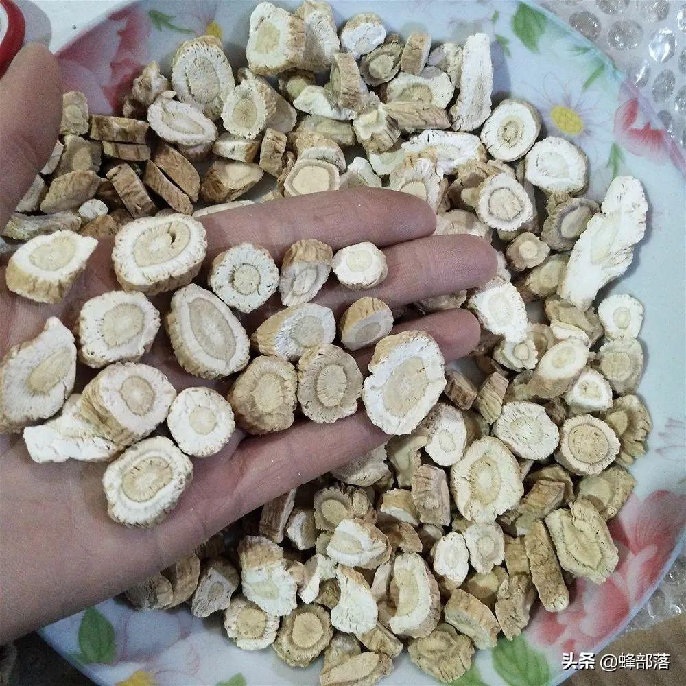 视频种植药中草技术有哪些_中草药种植技术视频_种植中药材技术大全