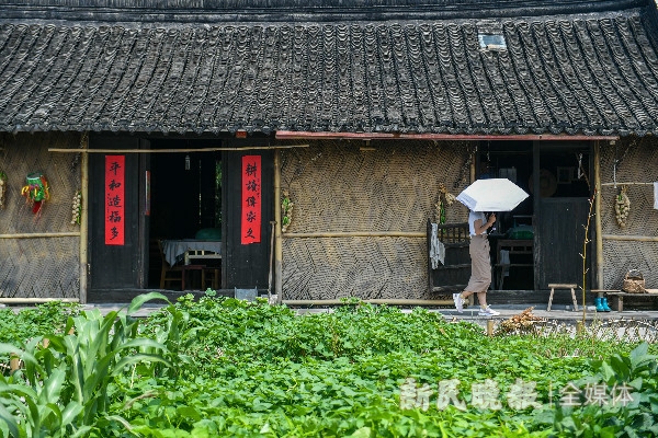 致富经种瓜不卖瓜年入八千万_每日农经致富经种瓜_瓜娄种植利润
