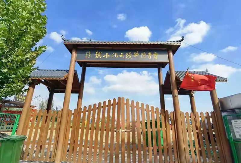 种植瓜菜助力乡村振兴_致富经种瓜不卖瓜年入八千万_每日农经致富经种瓜