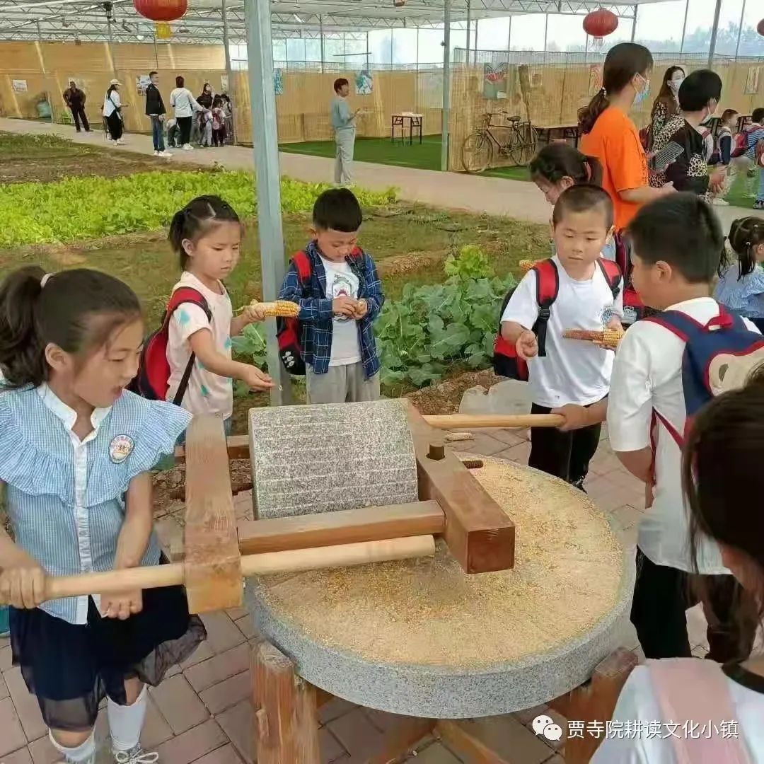 致富经种瓜不卖瓜年入八千万_每日农经致富经种瓜_种植瓜菜助力乡村振兴