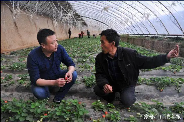 致富经鱼苗_致富繁殖鱼苗视频_致富经鱼苗繁殖