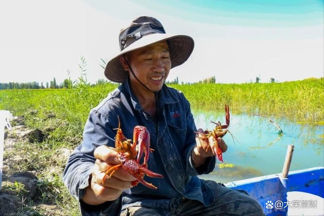 淡化白美虾养殖基地_南美白虾养殖技术大全_养南美白对虾虾苗