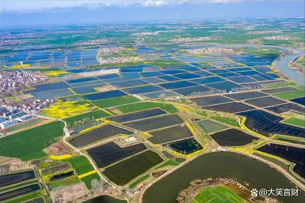 南美白虾养殖技术大全_养南美白对虾虾苗_淡化白美虾养殖基地