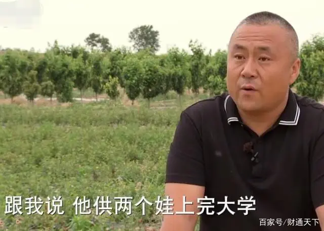 种樱桃大棚一年多少钱_大棚樱桃种植致富_致富大棚种植樱桃视频