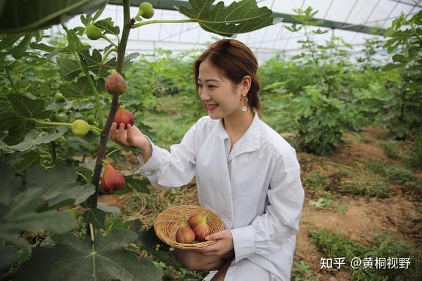 农民种植养殖致富_农民致富养殖什么_农民致富养殖业