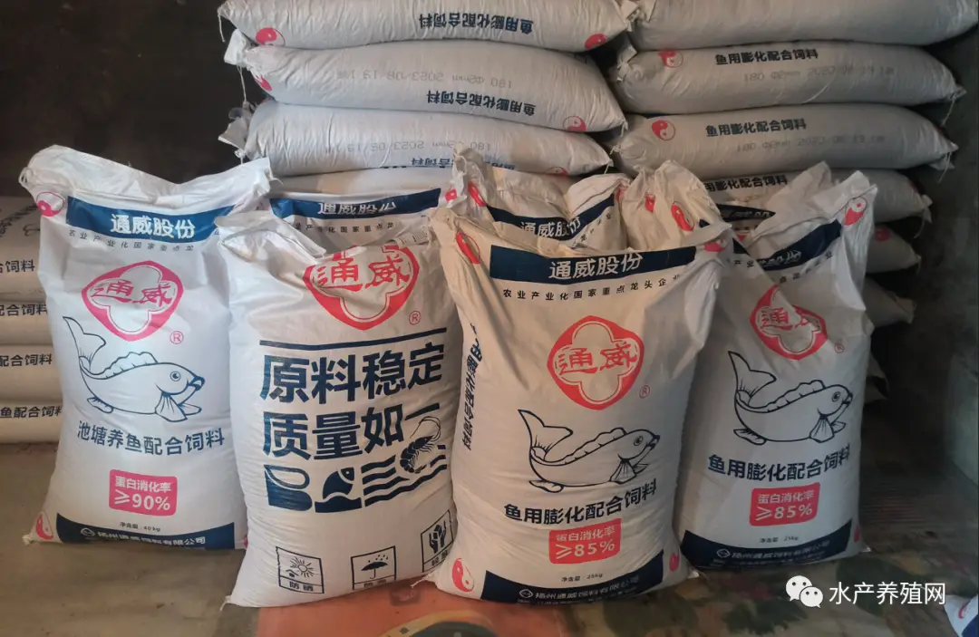 青鱼养殖技术交流论坛_论坛养殖交流青鱼技术研究_论坛养殖交流青鱼技术与管理