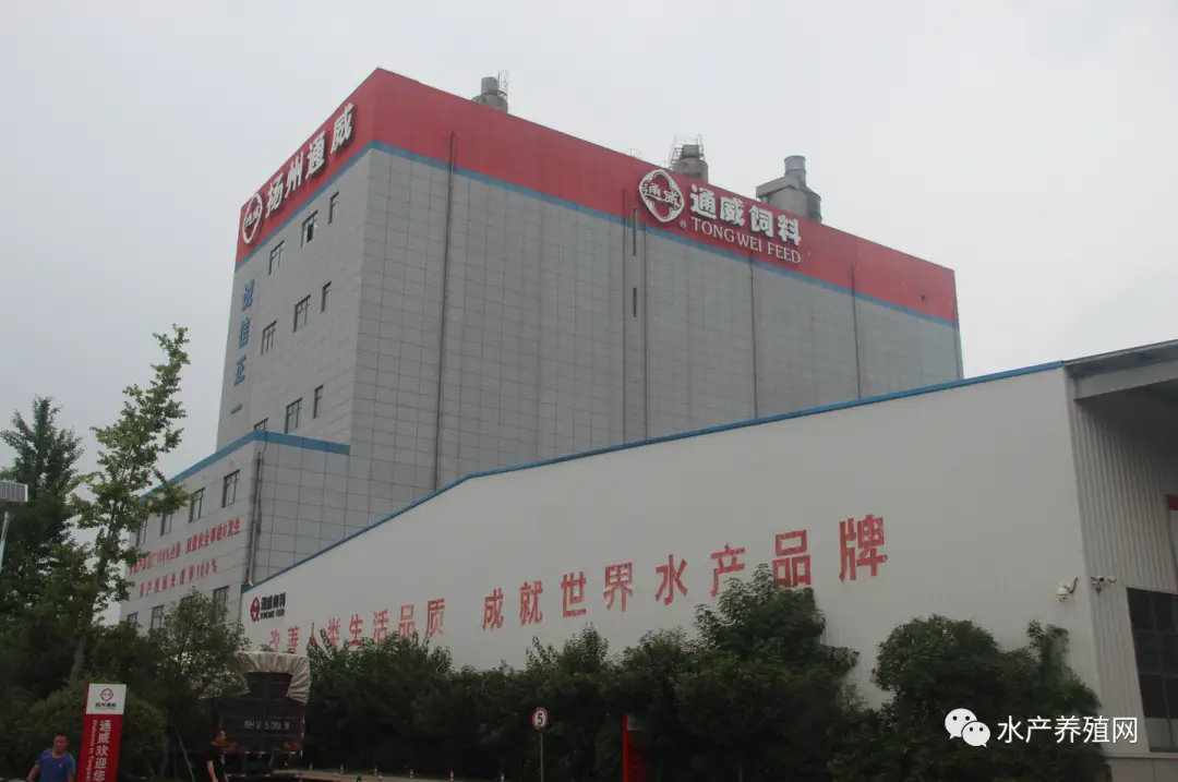 青鱼养殖技术交流论坛_论坛养殖交流青鱼技术研究_论坛养殖交流青鱼技术与管理
