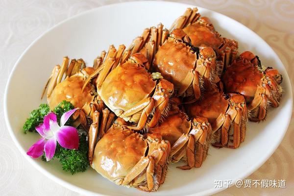 致富经湖北洪湖莲藕_致富经湖北洪湖莲藕_致富经湖北洪湖莲藕
