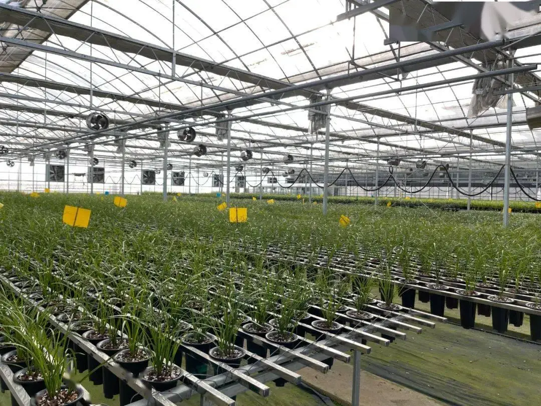 致富经记者刘婷婷照片_致富经记者刘婷婷照片_致富经记者刘婷婷照片