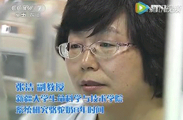 致富骆驼养殖项目简介_骆驼养殖致富项目_致富经骆驼养殖
