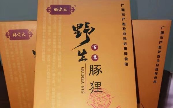 养殖黑华南豚鼠技术指标_黑豚鼠养殖技术与利润_华南黑豚鼠养殖技术