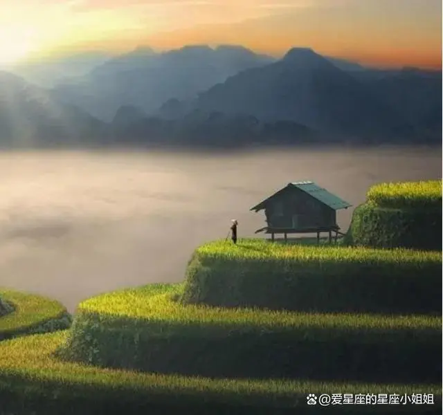 山东地区养殖什么挣钱_山东种植养殖致富_山东搞养殖