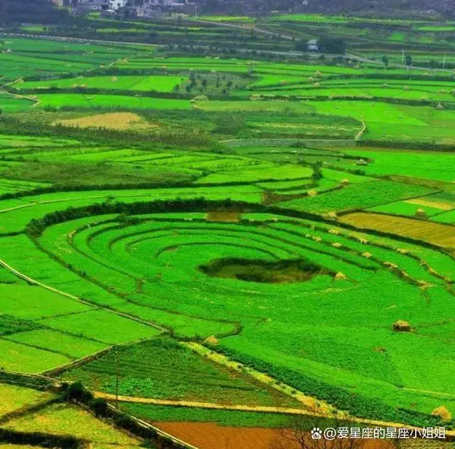 山东地区养殖什么挣钱_山东搞养殖_山东种植养殖致富