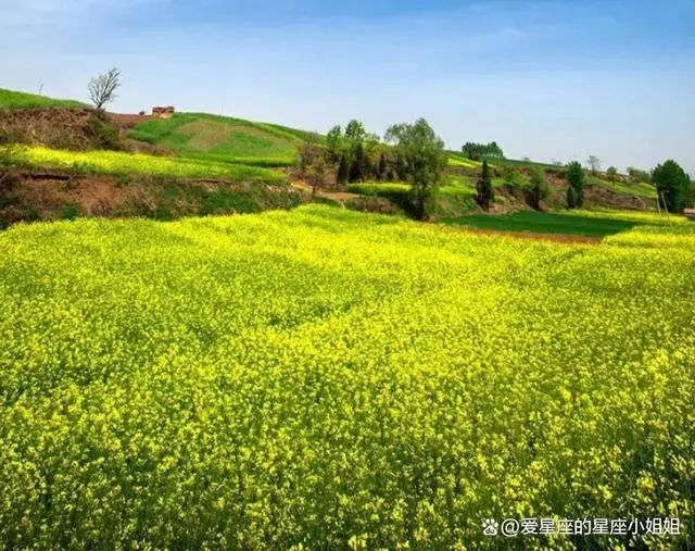 山东地区养殖什么挣钱_山东搞养殖_山东种植养殖致富