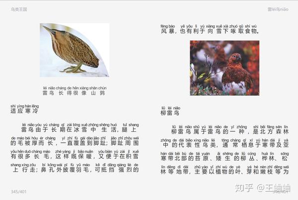 致富经之红腹锦鸡养殖_红腹锦鸡养殖场视频_养殖红腹锦鸡有销路吗
