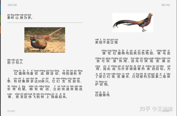 养殖红腹锦鸡有销路吗_红腹锦鸡养殖场视频_致富经之红腹锦鸡养殖