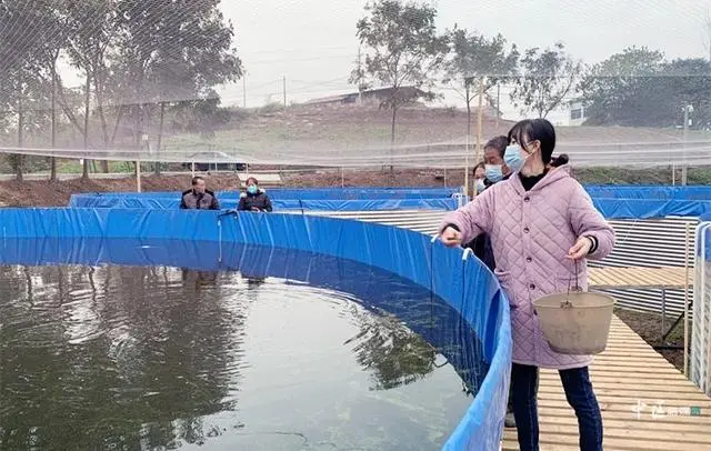 浙江水产养殖公司_浙江养殖水产致富_浙江水产养殖基地
