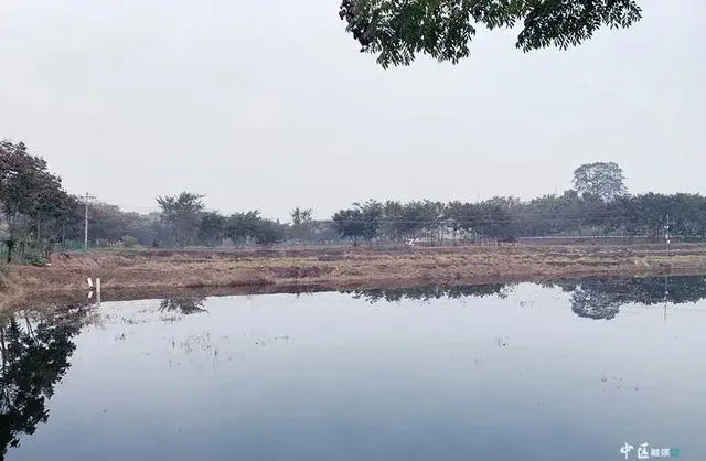 浙江水产养殖公司_浙江水产养殖基地_浙江养殖水产致富