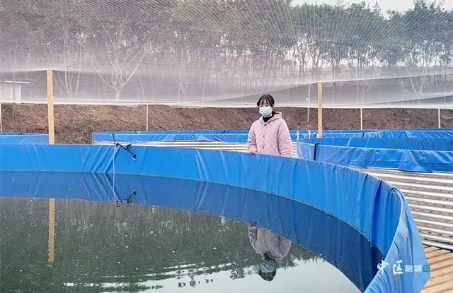 浙江养殖水产致富_浙江水产养殖基地_浙江水产养殖公司