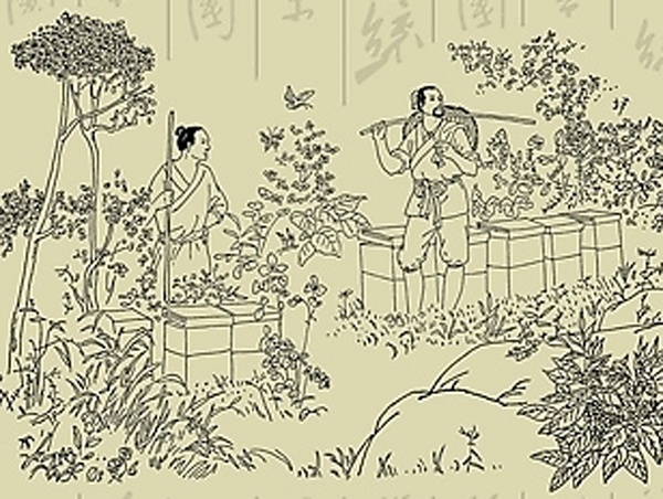 宋人养蜂图