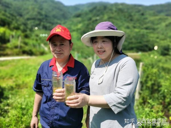 种植猕猴桃前景怎么样_种植猕猴桃致富_致富种植猕猴桃怎么样