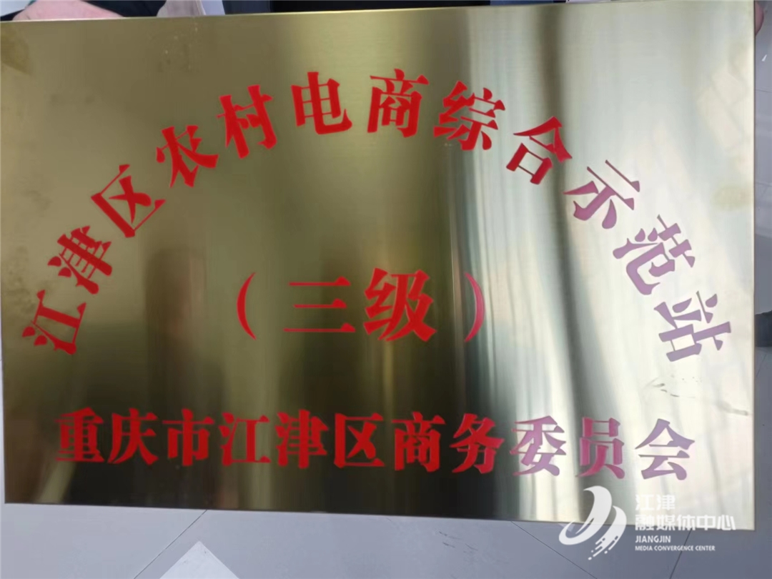 农民种地致富_农村土货种植致富_农村土地种植致富项目