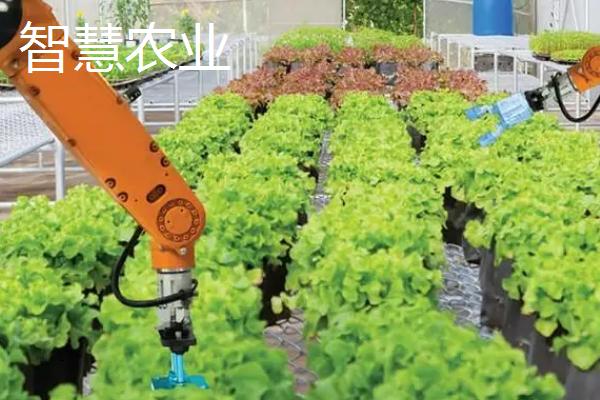 农村家庭致富项目，收购木材、加工有机肥都是可以考虑的选择