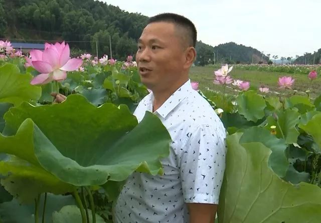农村种植致富地点_农村致富项目种植业_农民致富种植项目