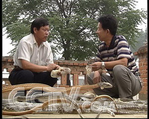 致富经蟒蛇养殖_致富经 养蛇_致富经养蛇视频大全