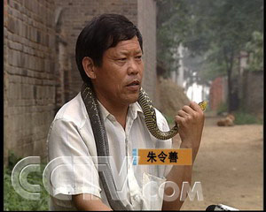 致富经养蛇视频大全_致富经 养蛇_致富经蟒蛇养殖